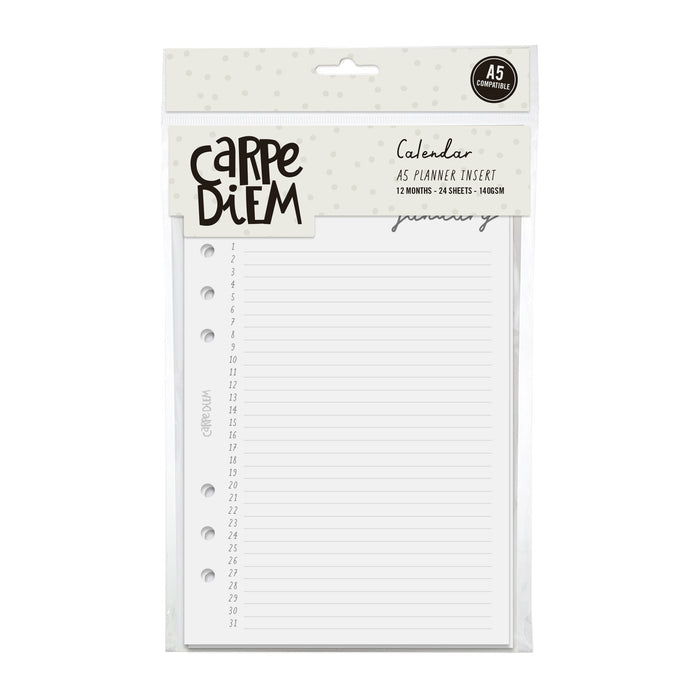 Carpe Diem A5 Planner Monthly Calendar Inserts