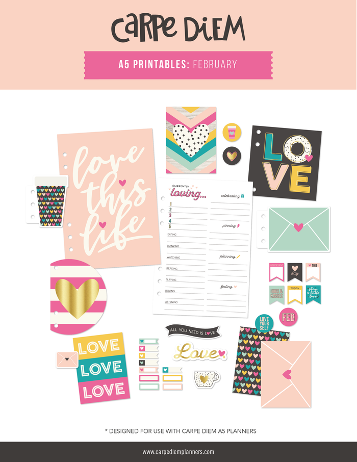 carpe diem A5 Planner Printables - February Freebie