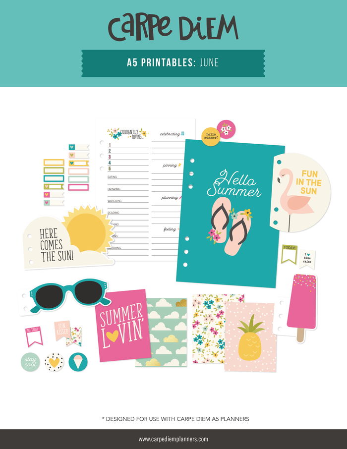 carpe diem A5 Planner Printables- June Freebie