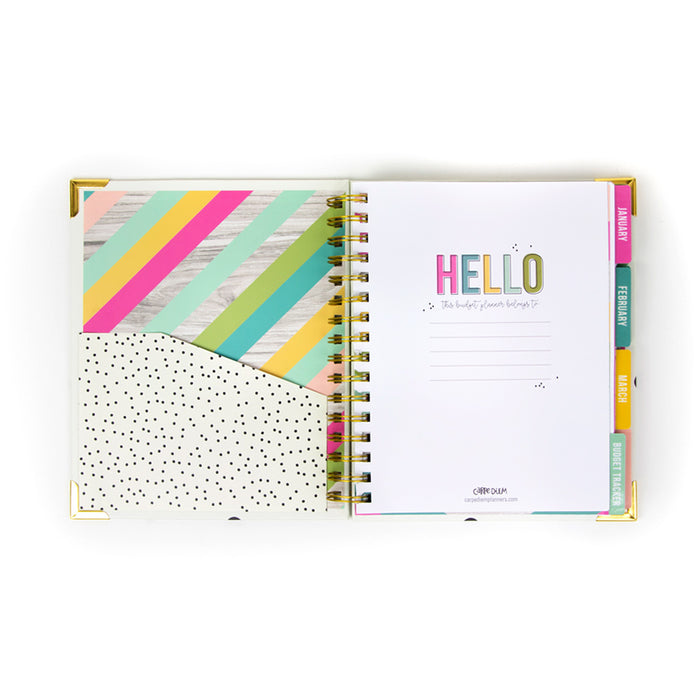 Carpe Diem Budget 12 Month Spiral Planner