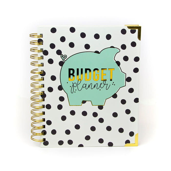 carpe diem Budget 12 Month Spiral Planner
