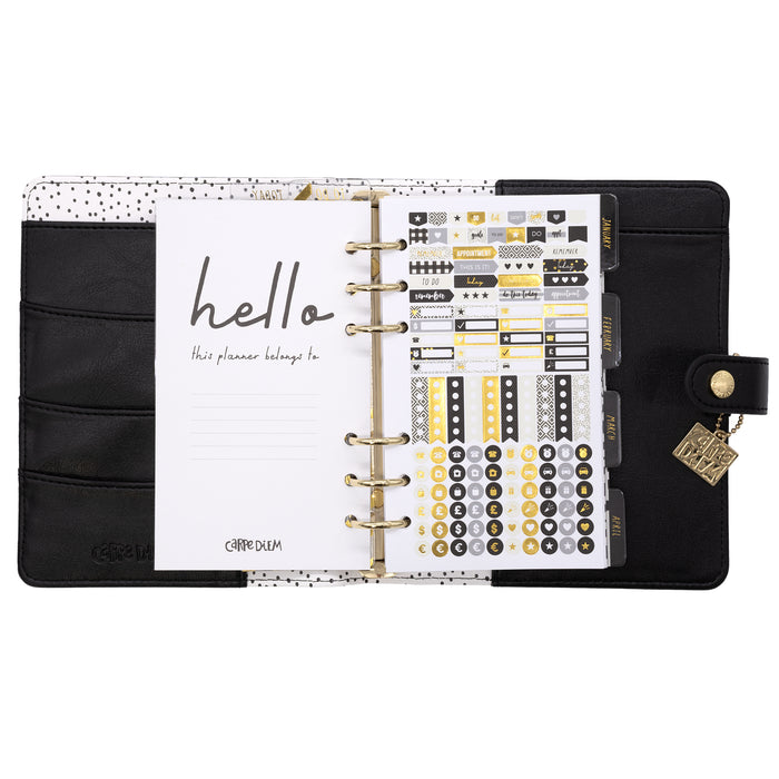 Carpe Diem Buffalo Check Personal Planner Box Set