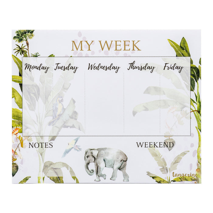 carpe diem Carpe Diem x La Papelaria Weekly Planner Desk Pad in Tropical