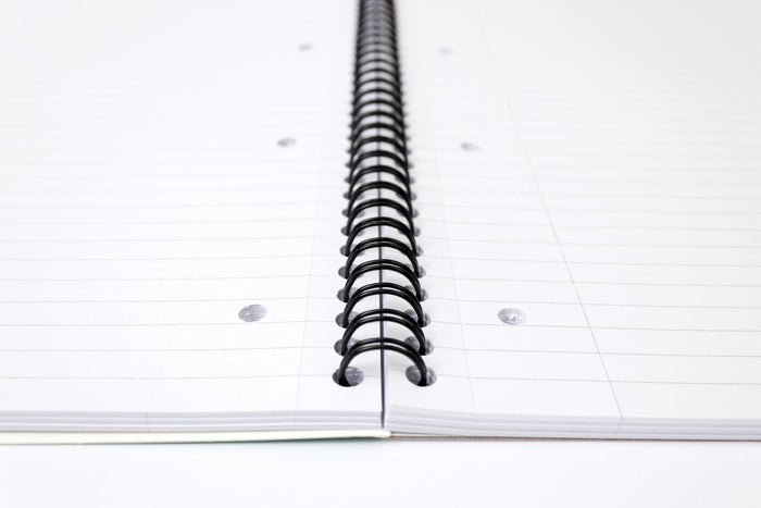 Carpe Diem Metallic Green Jotta Letter Sized Notebook - Pack Of 3