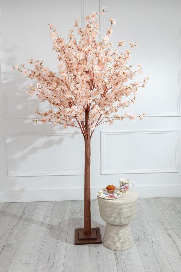 Carraig Donn Cherry Blossom Tree 180cm