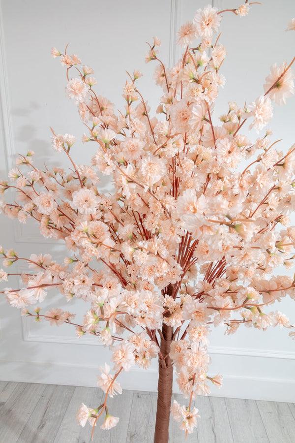 Carraig Donn Cherry Blossom Tree 180cm