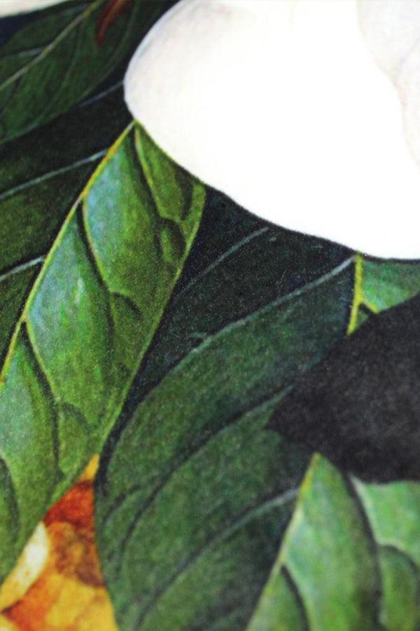 Carraig Donn Magnolia Navy 45x45cm Cushion