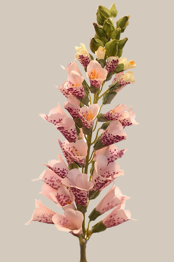Carraig Donn Pink Fox Glove Artificial Flower