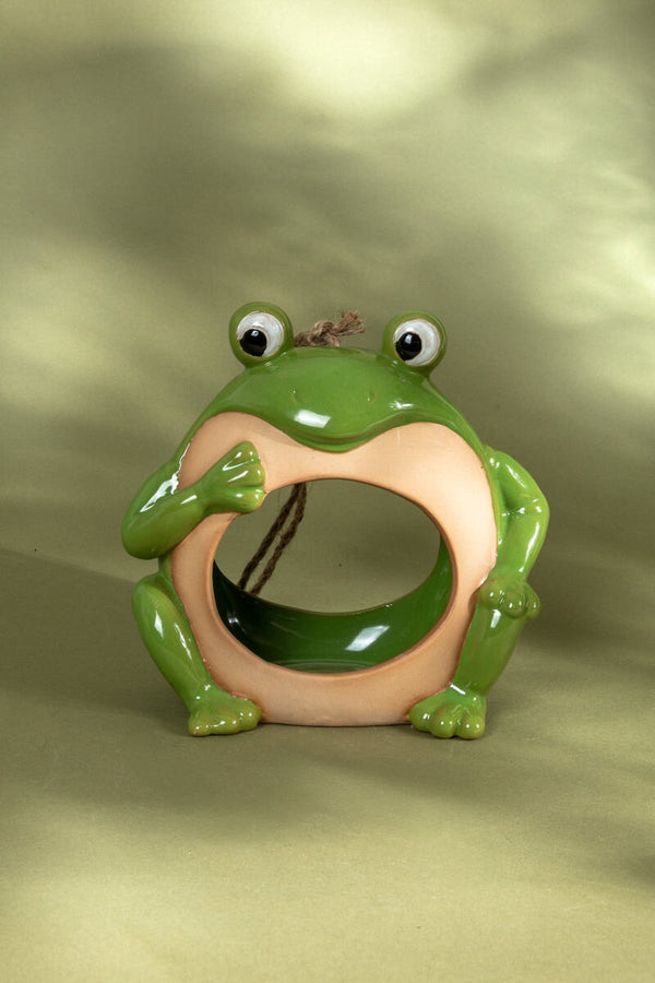 Carraig Donn Porcelain Frog Shaped Bird House