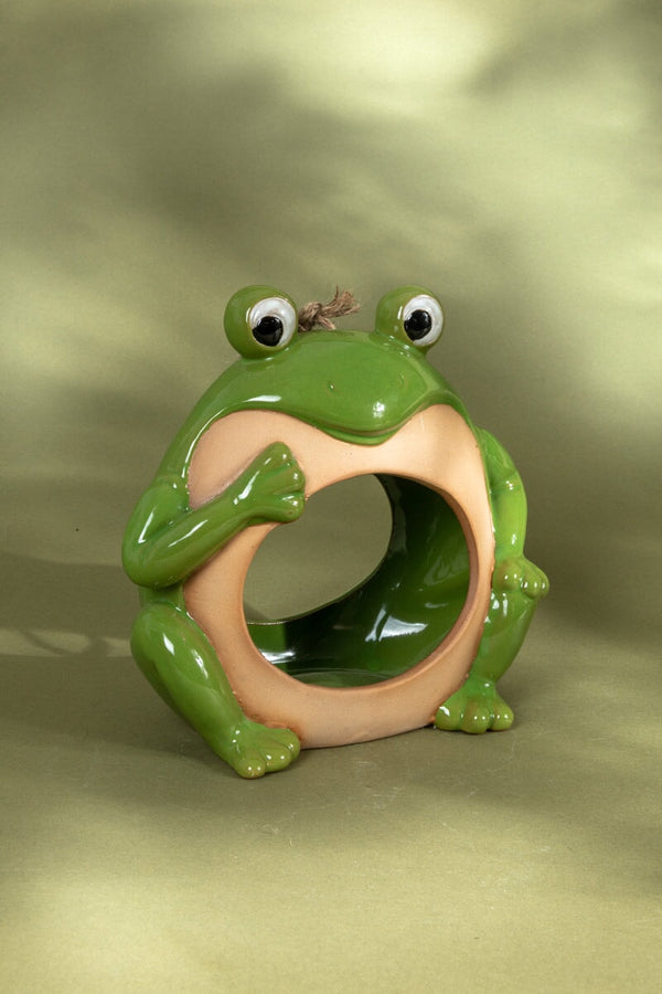 Carraig Donn Porcelain Frog Shaped Bird House