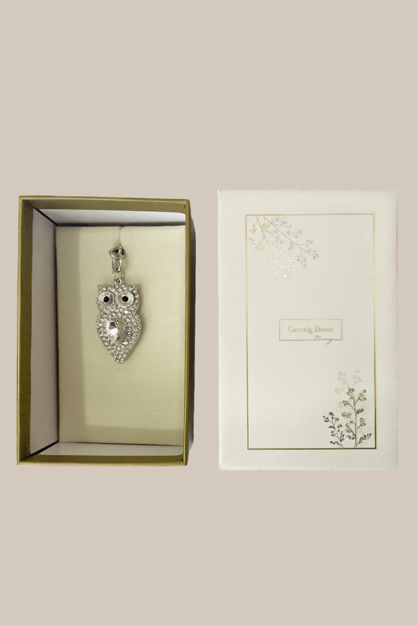 Carraig Donn Silver Owl Keyring