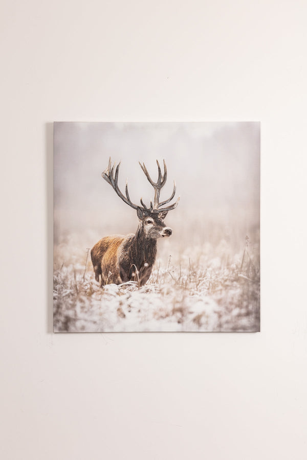 carraig donn Stag Canvas Wall Art