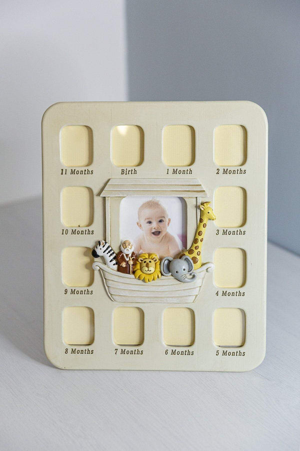 carraig donn The Arc First Year