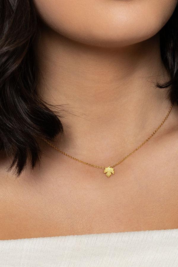 Carraig Donn The Pink Box Golden Leaf Necklace