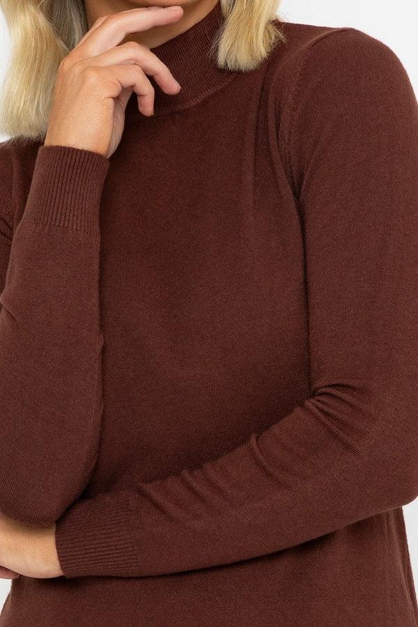Carraig Donn Turtleneck Knit In Brown