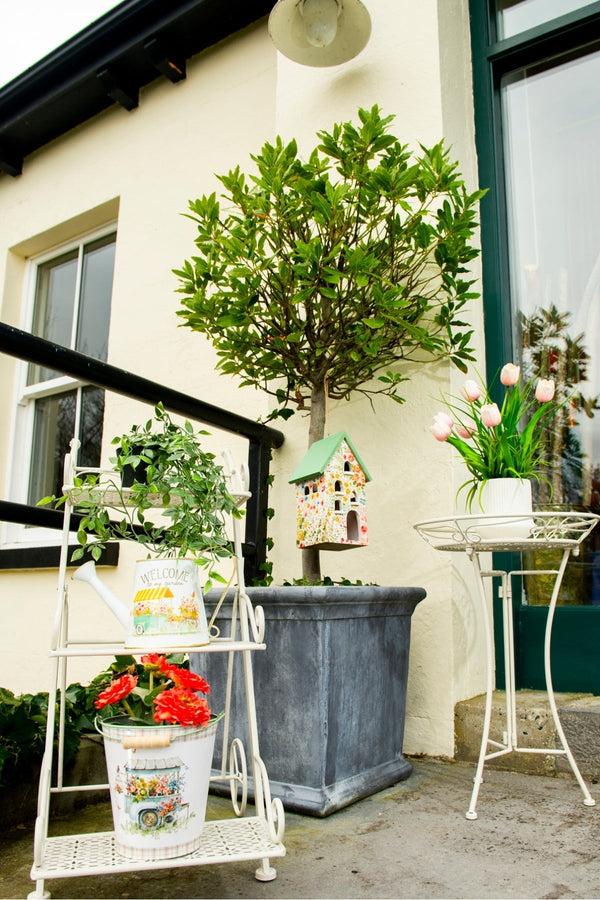 Carraig Donn White 3 Tier Plant Stand