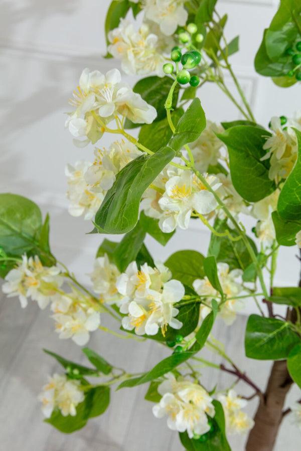 Carraig Donn White Blossom Tree 150cm