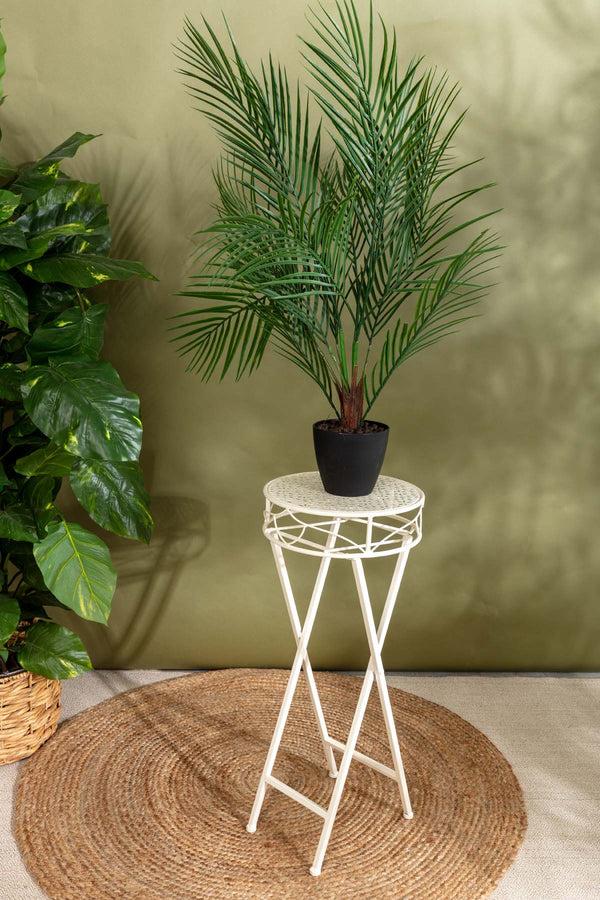 carraig donn White Plant Stand