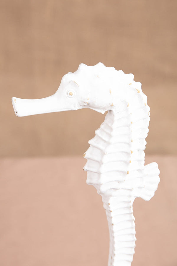 Carraig Donn White Sea Horse Decor