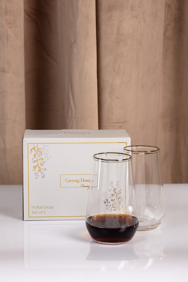 carraig donn Set Of 2 Highball Glass with Silver & Gold Rim
