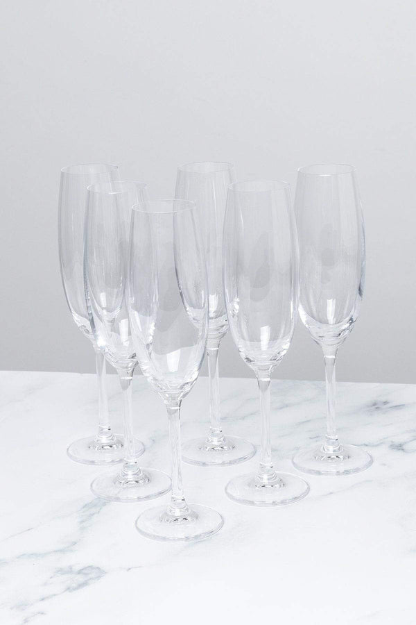 Carraig Donn Set Of 6 Connoisseur Champagne Glasses