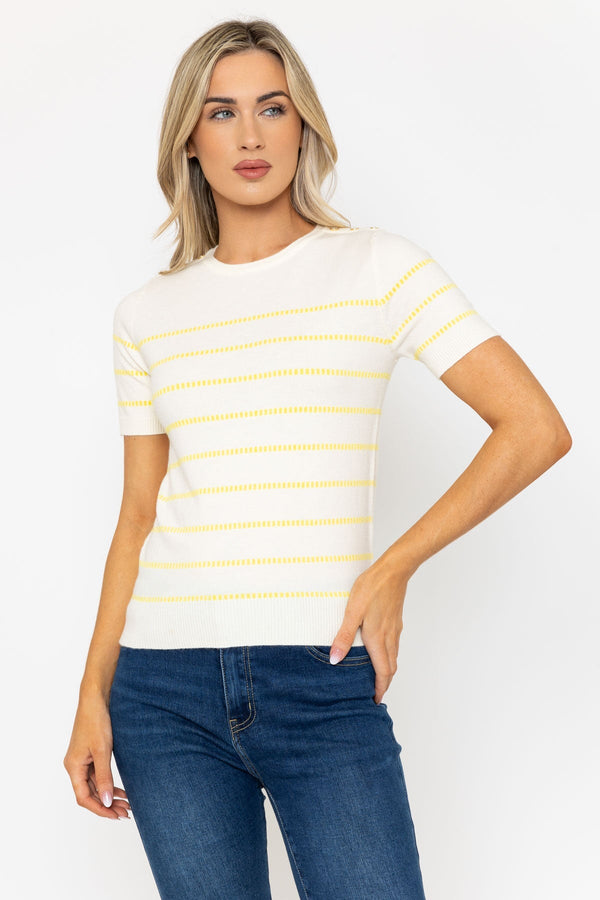 Carraig Donn Short Sleeve Stripe Knit Top In Lemon Yellow