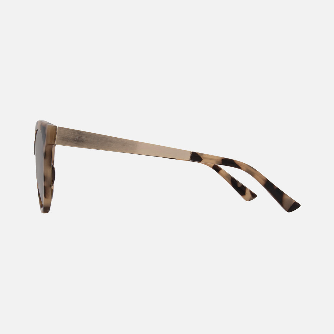 Carve Allure Gloss Creamy Tort Front With Gold Temple & Brown Lens