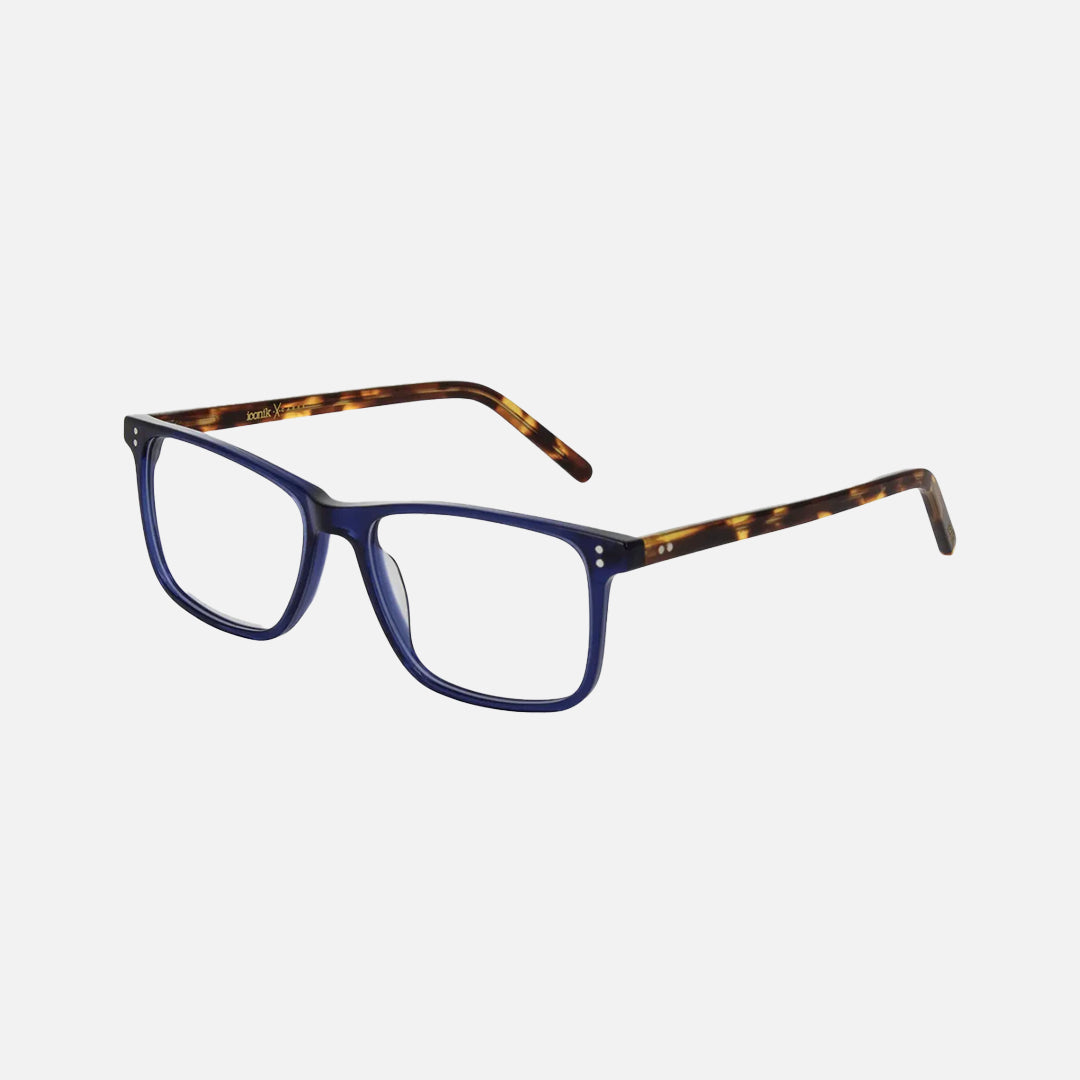 Carve BOISE - Blue/Tort Acetate - 54-16-145