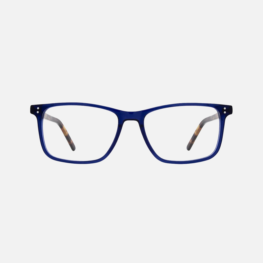 carve BOISE - Blue/Tort Acetate - 54-16-145