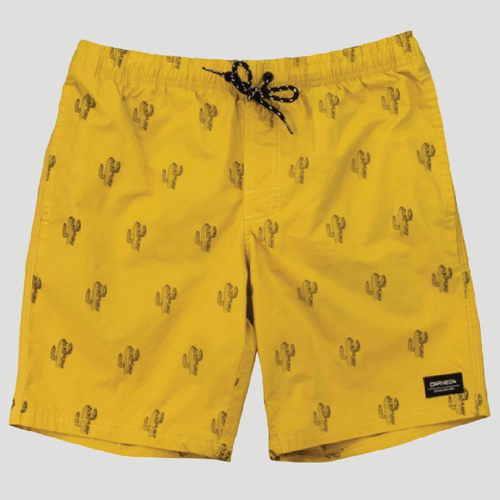 carve Dry Land Boy's Volley Shorts