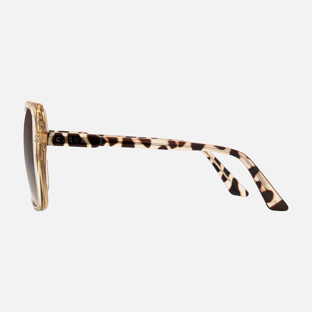 Carve Ebony Gloss Translucent Tea Brown Gradient