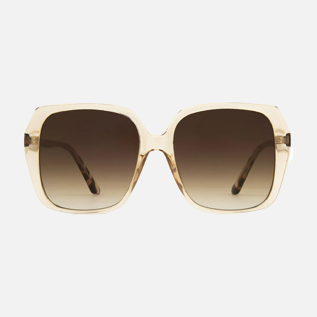 carve Ebony Gloss Translucent Tea Brown Gradient