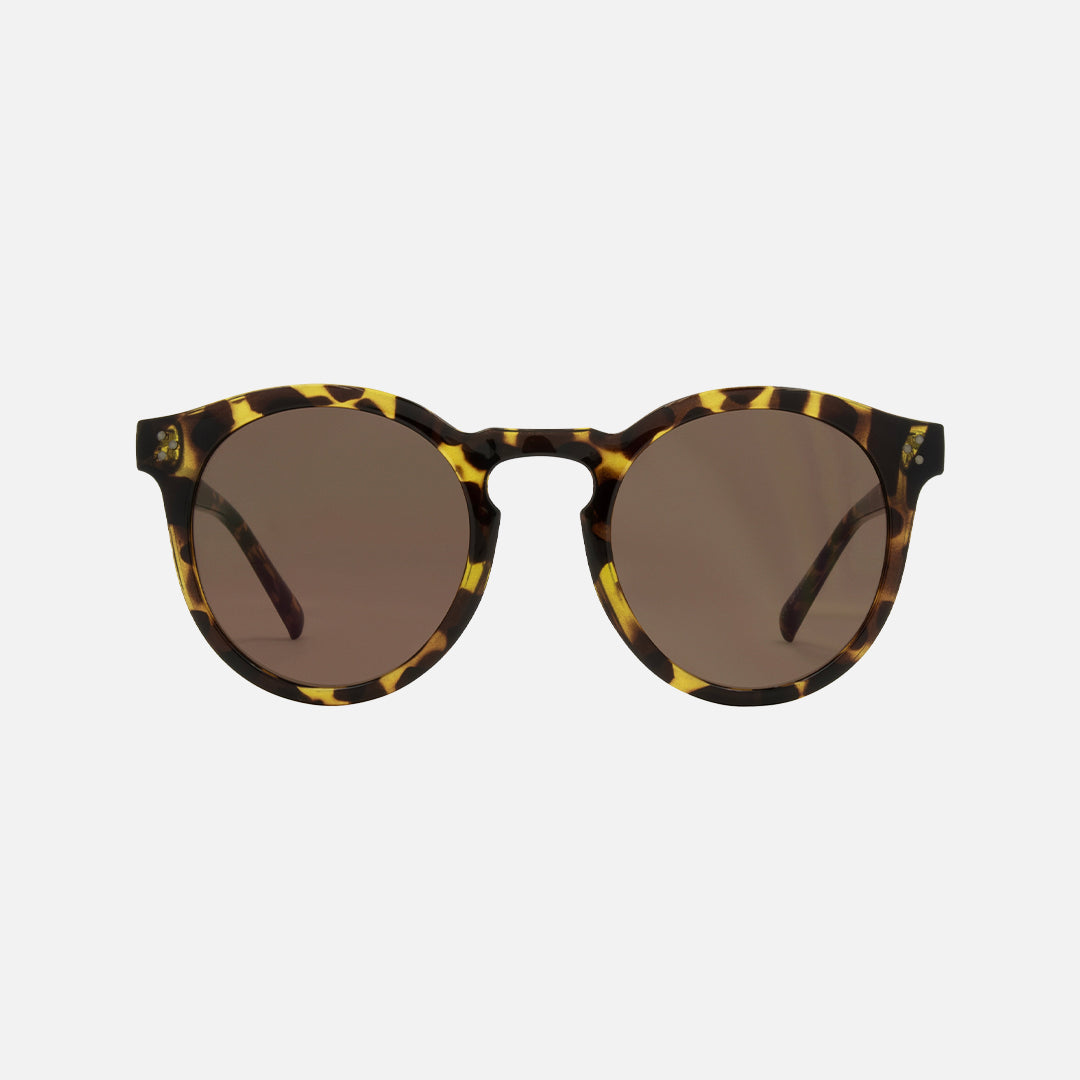 carve Fletcher Gloss Tort Brown Lens
