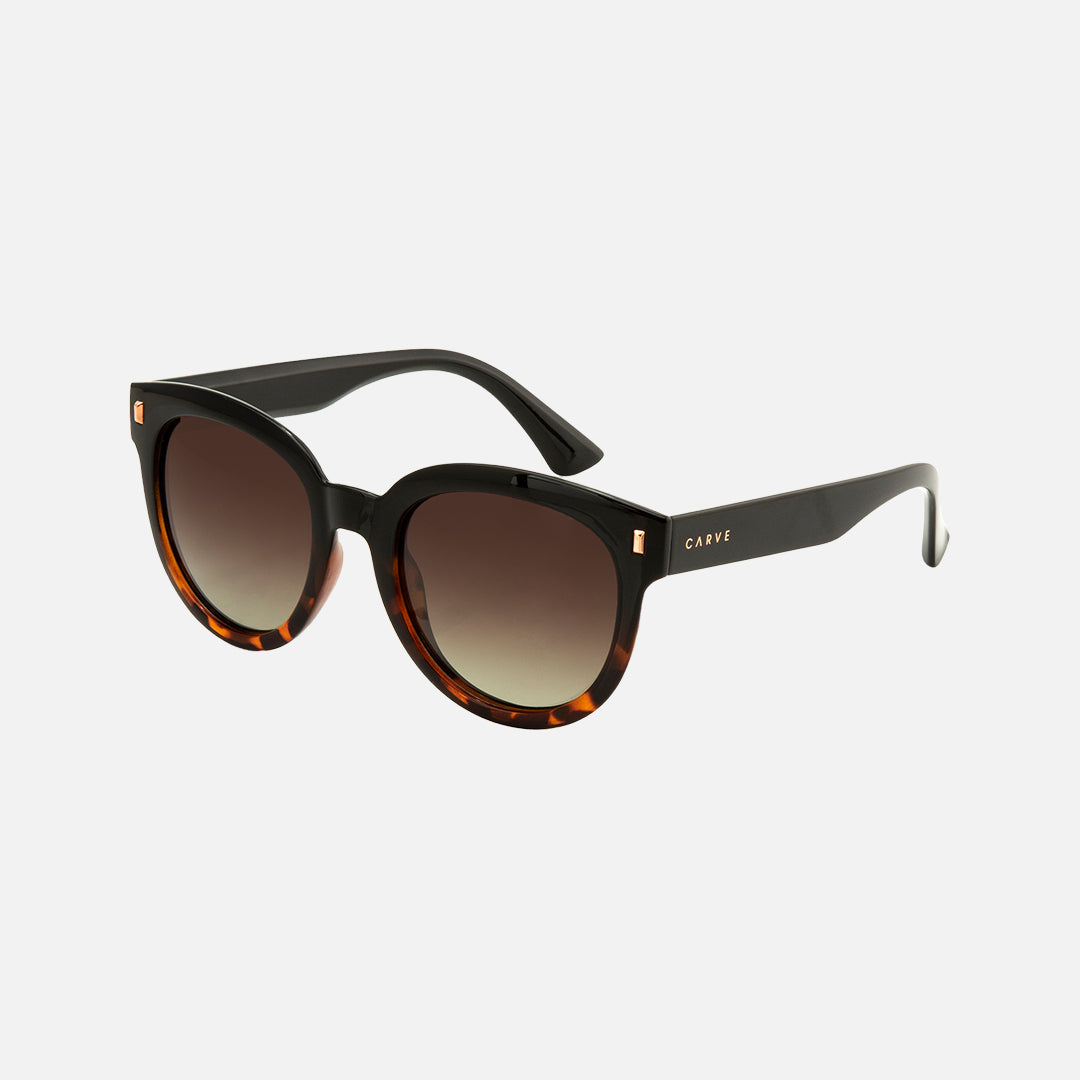 Carve Harpo Gloss Black Tort Brown Gradient
