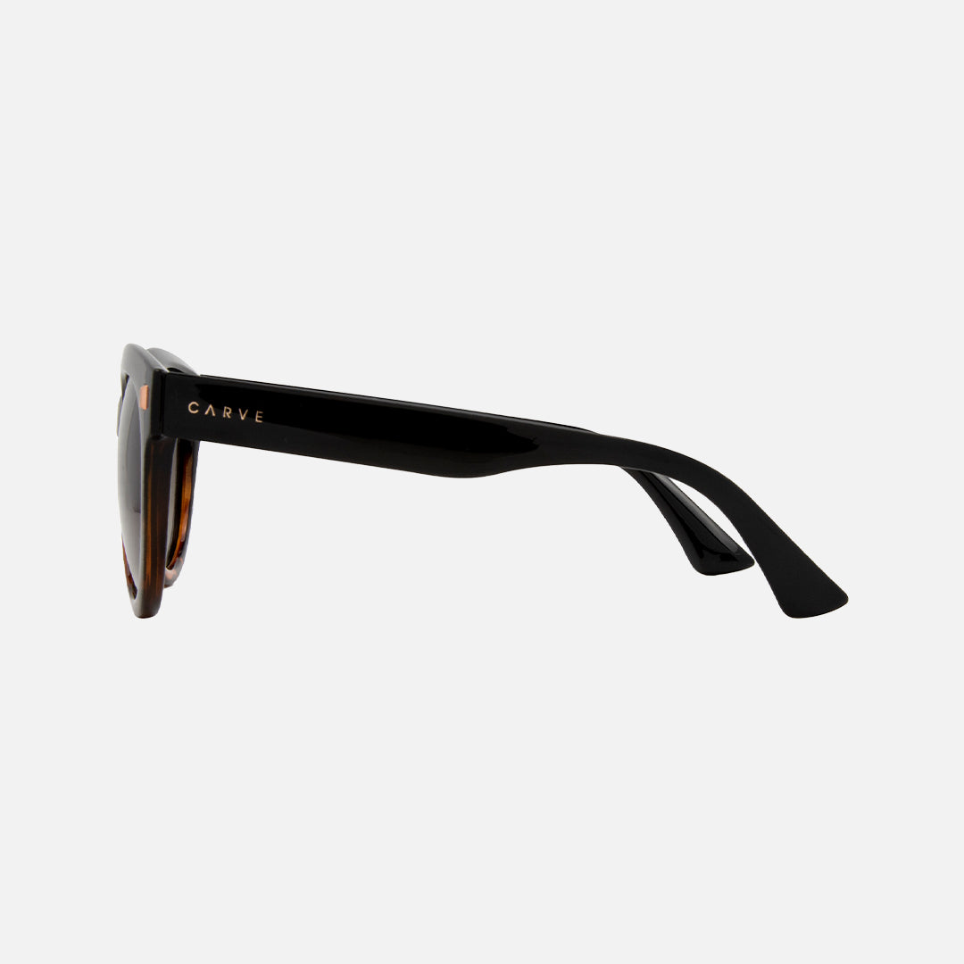 Carve Harpo Gloss Black Tort Brown Gradient