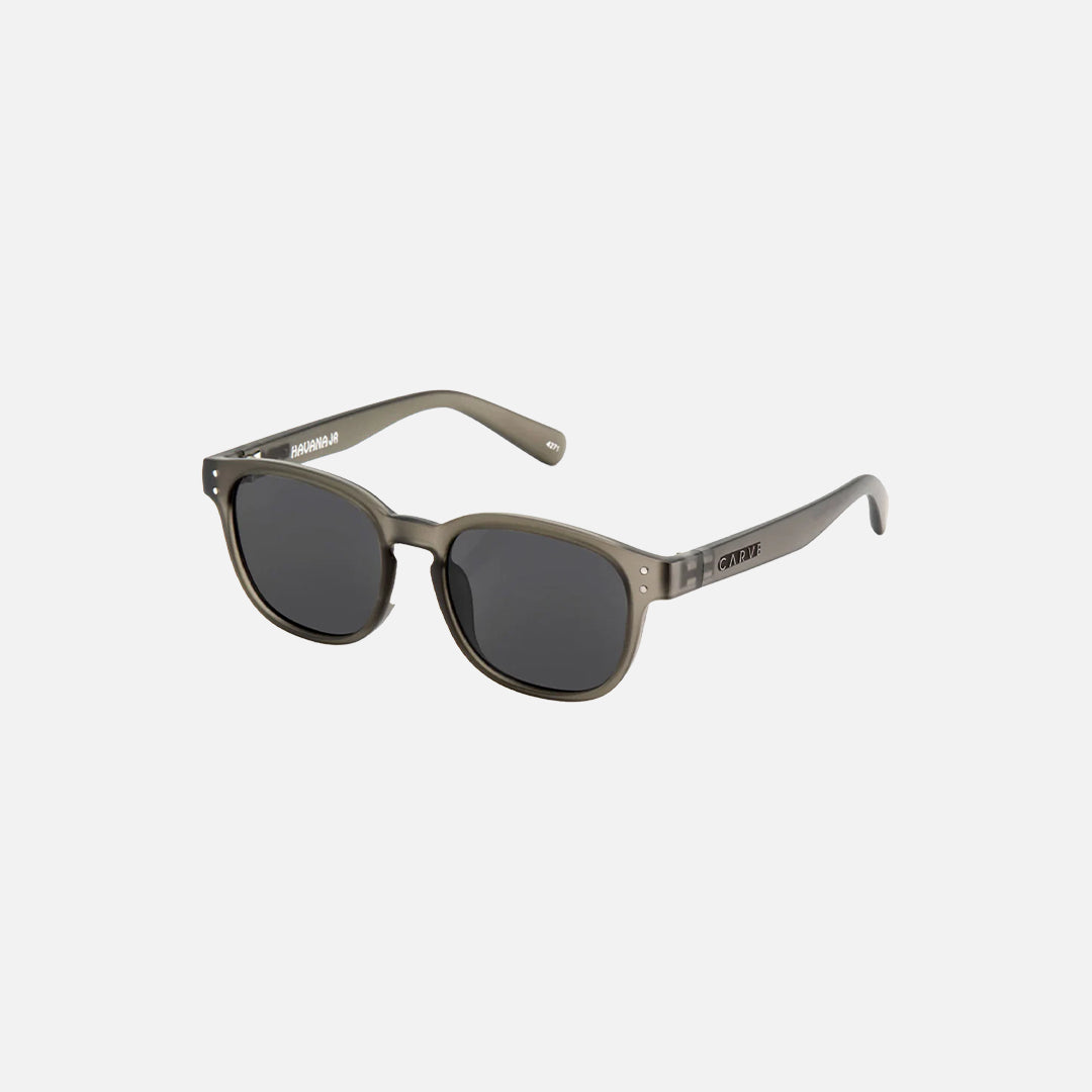 Carve Havana Jr Grey Translucent Frame Sunglasses