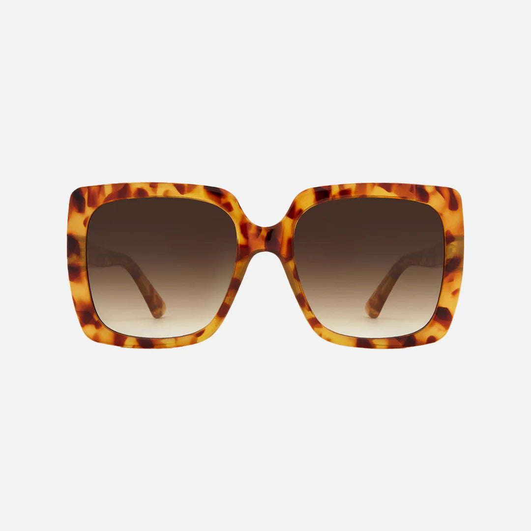 carve Luna Amber Tortoise Brown Gradient Lens