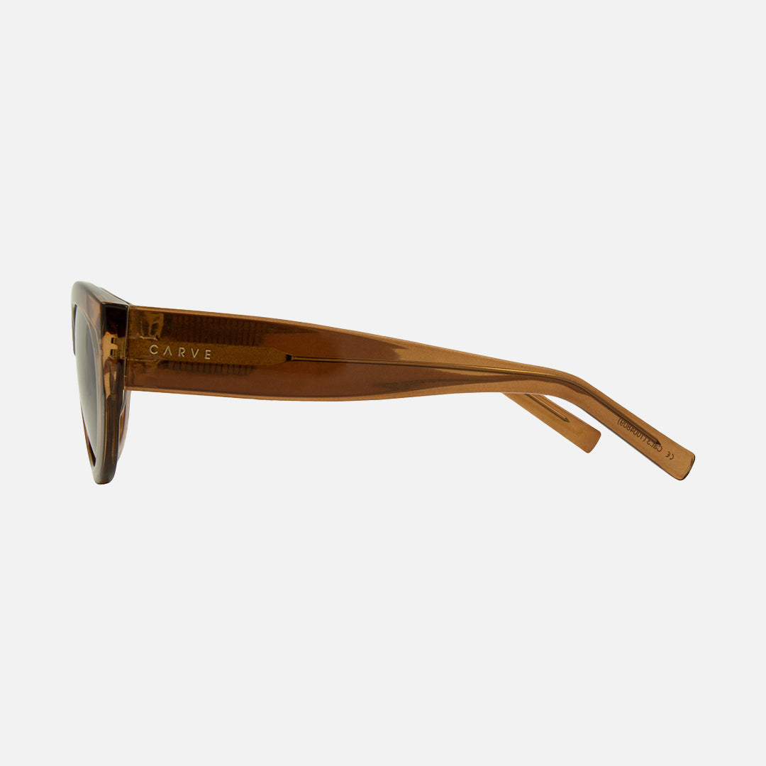 Carve Montana Gloss Crystal Tobacco Brown Lens