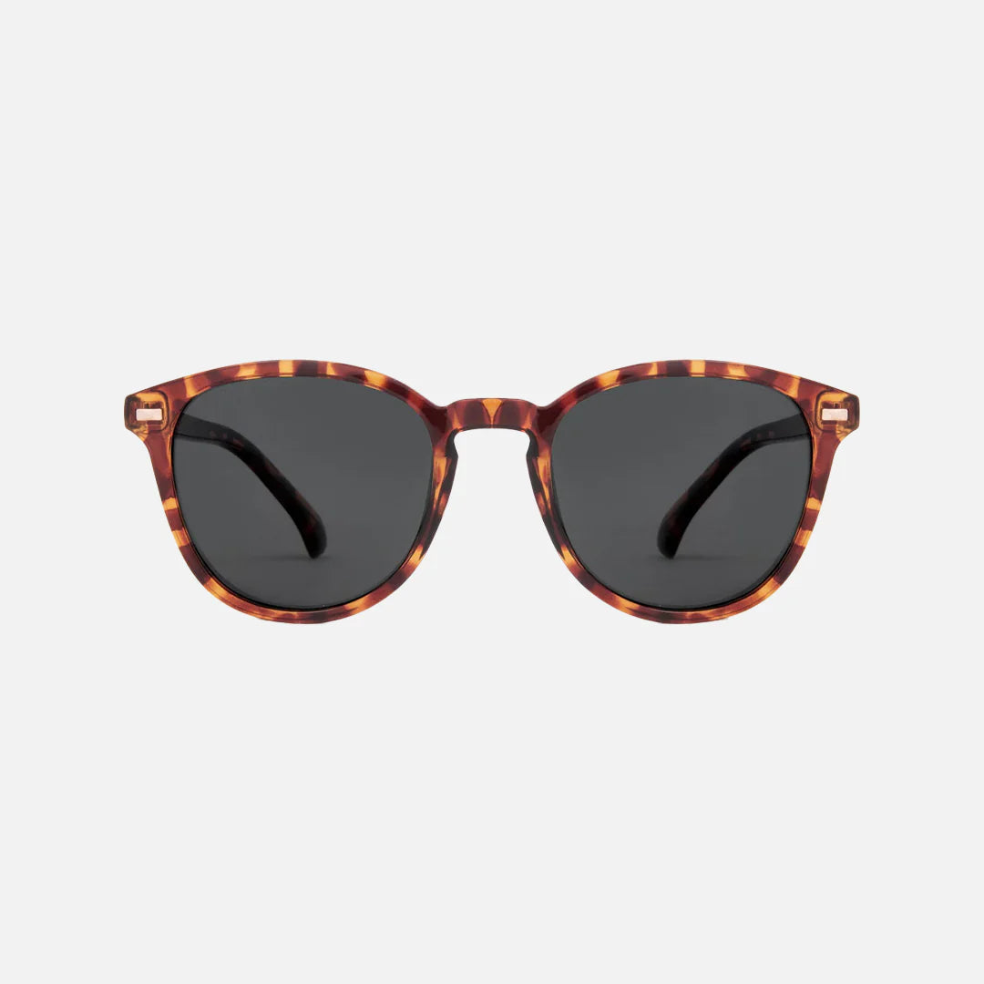 carve Oslo Gloss Tort Grey Polarized Lens