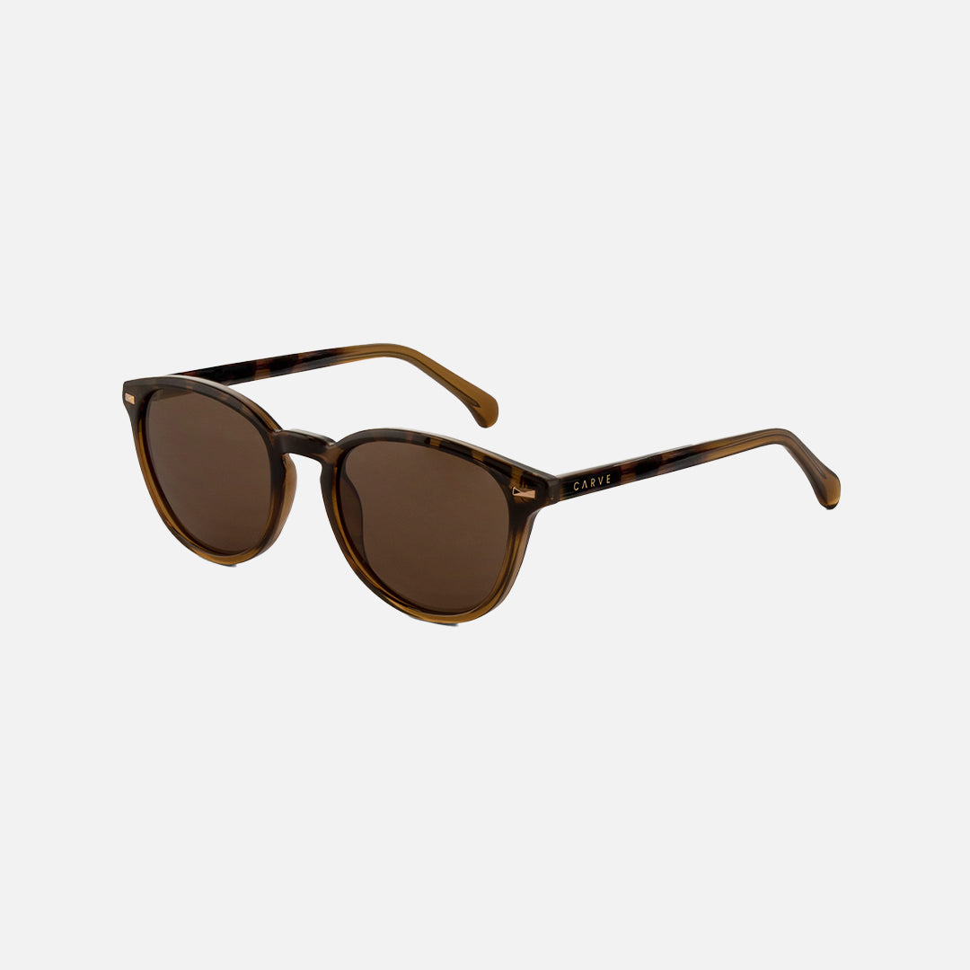 Carve Oslo Gloss Tort/Toffee Brown Lens