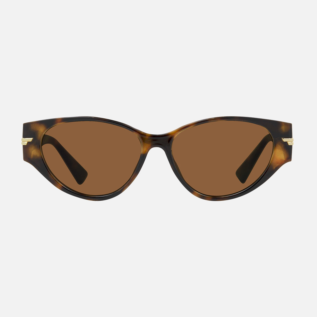 carve Rhode Gloss Tort Brown lens