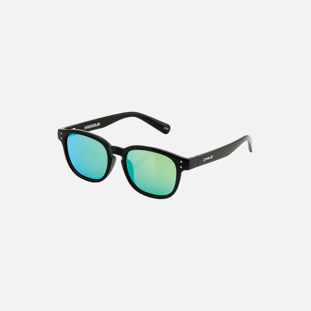 Carve Havana Jr Gloss Black Frame Iridium Lens Sunglasses