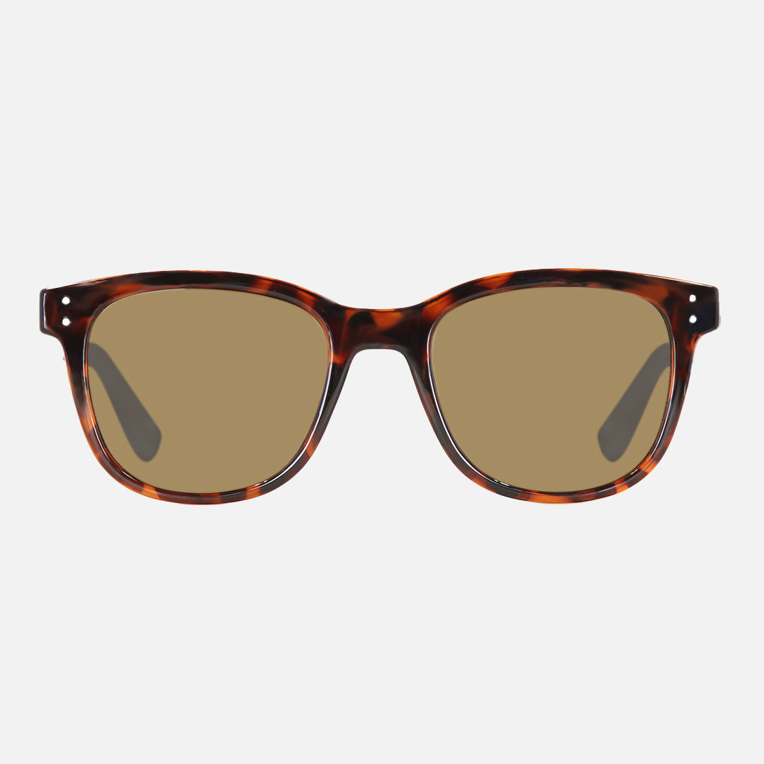carve Homeland Gloss Tort Frame Brown Polarized Lens