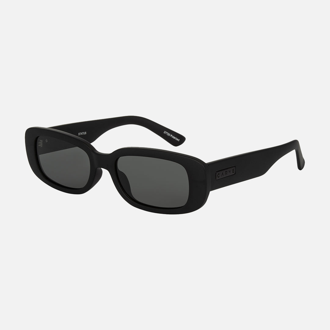 Carve Status Matt Black Frame With Grey Polarized Lens