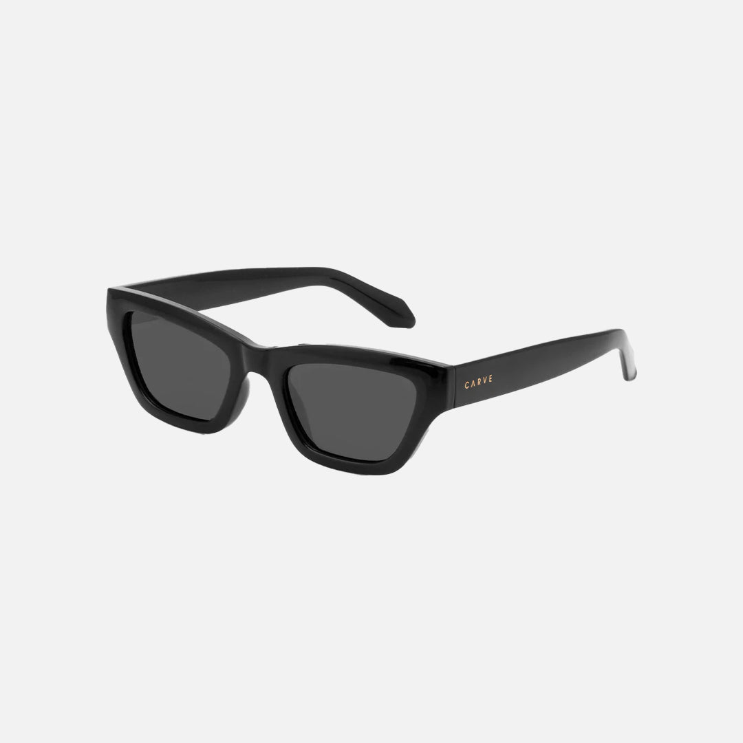 Carve Valencia Gloss Black Dark Grey Polarized Lens