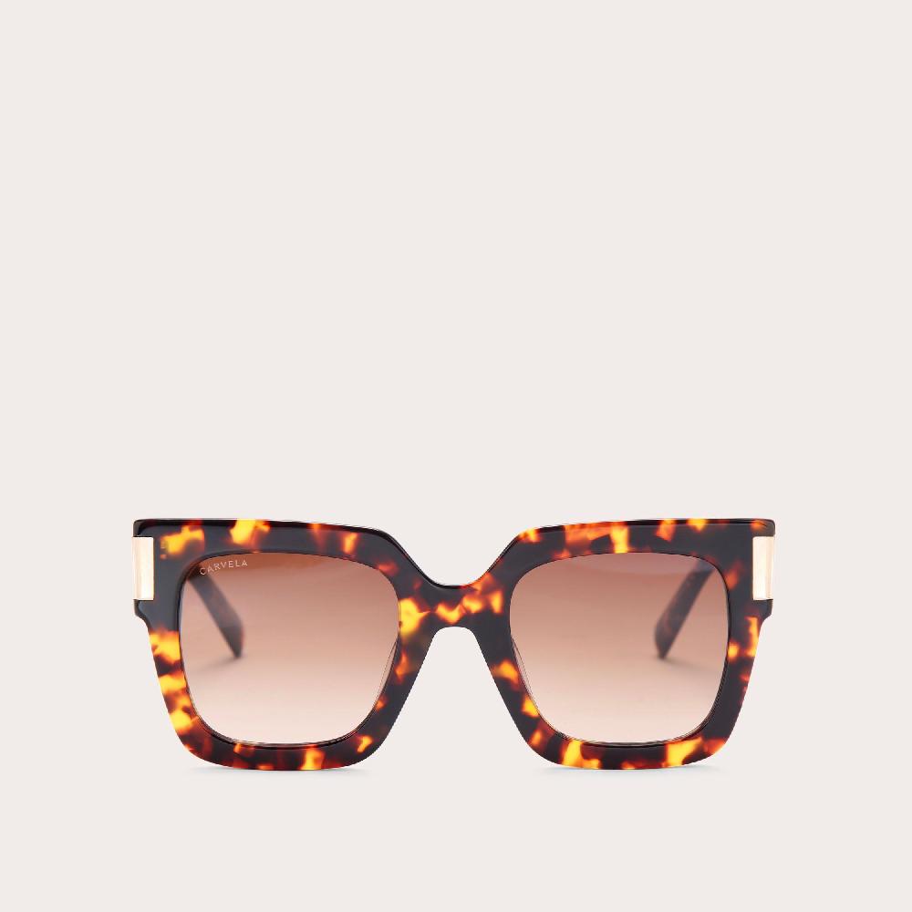 carvela C SUNGLASSES Mid Brown Tortoiseshell Handmade Acetate Square Sunglasses by CARVELA