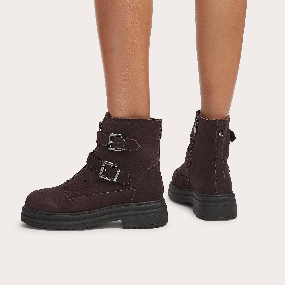 Carvela CAPITAL Brown Suede Ankle Boot By CARVELA