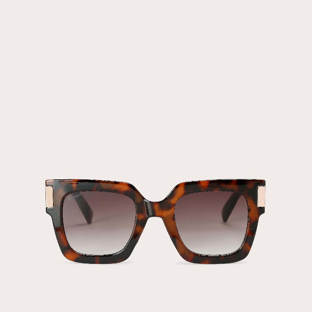 carvela CARVELA CHUNKY FLARE Mid Brown Cat Eye Square Sunglasses by CARVELA