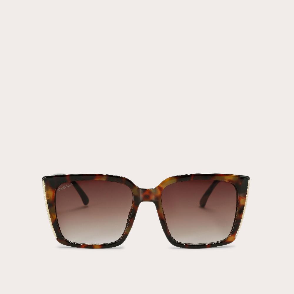 carvela CARVELA SQUARE FRAME Mid Brown Square Sunglasses by CARVELA