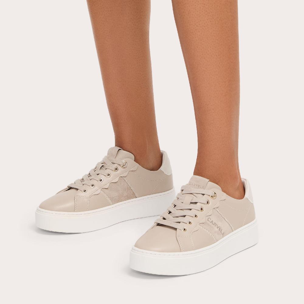 Carvela CASTELLA Taupe Suede Lace Up Trainer By CARVELA